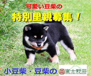 特別里親犬