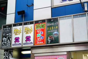 秋葉原店　外見