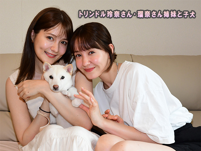 トリンドル玲奈さん･瑠奈さん姉妹と子犬