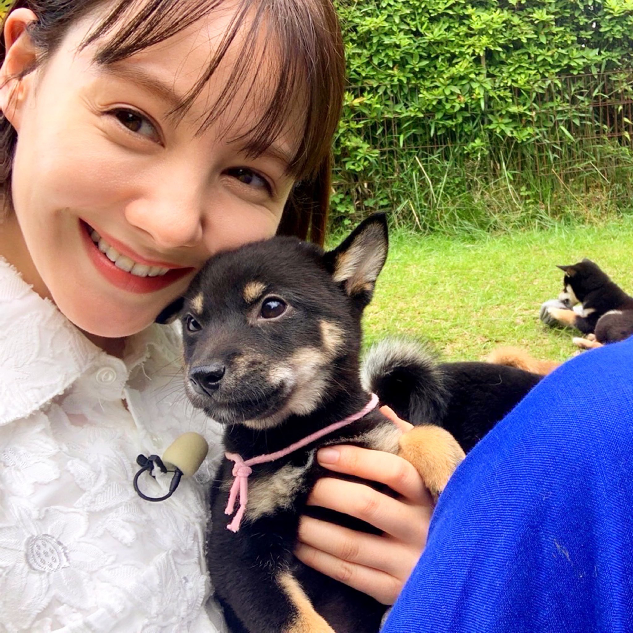 トリンドル玲奈さんと豆柴犬たち