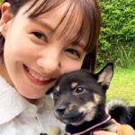 トリンドル玲奈さんと豆柴犬たち