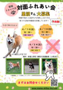 豆柴･極小豆柴の対面ふれあい会のお知らせ