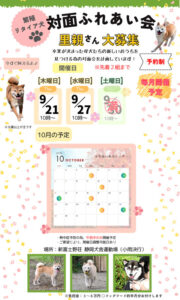 豆柴･極小豆柴の対面ふれあい会のお知らせ ９月の開催日