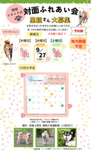 豆柴･極小豆柴の対面ふれあい会のお知らせ ９月の開催日