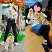 静岡のＫ様から＜タケさん＞16歳と＜ベイブくん＞2歳のお便り