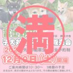 子犬のふれあい会のお知らせ