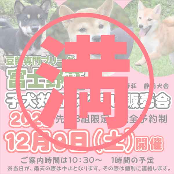子犬のふれあい会のお知らせ